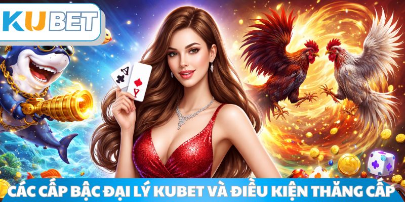 Các cấp bậc đại lý Kubet và điều kiện thăng cấp 