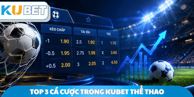 Top 3 cá cược trong Kubet Thể Thao